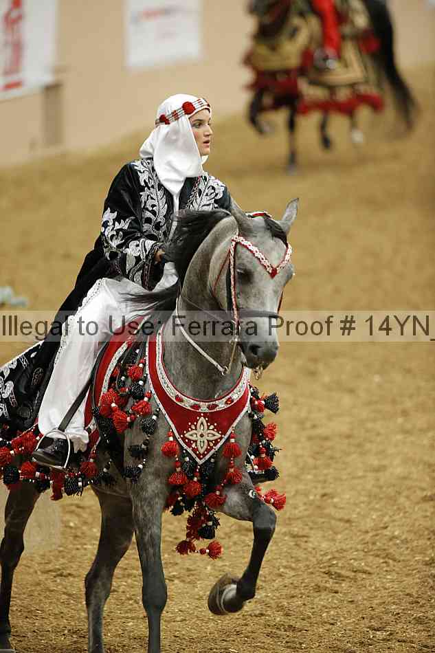 Proof 14yn_05003
