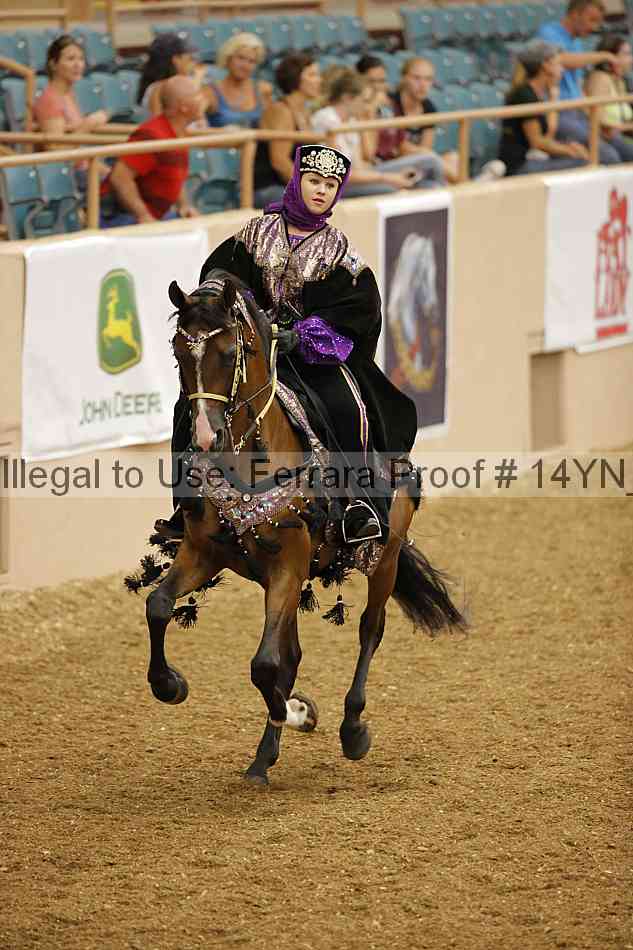 Proof 14yn_05009