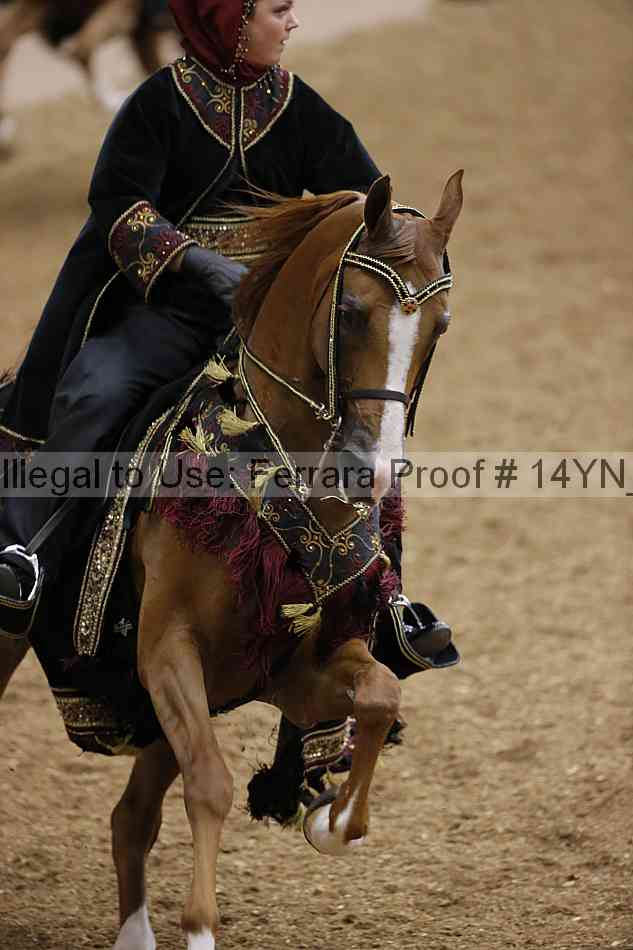 Proof 14yn_05021