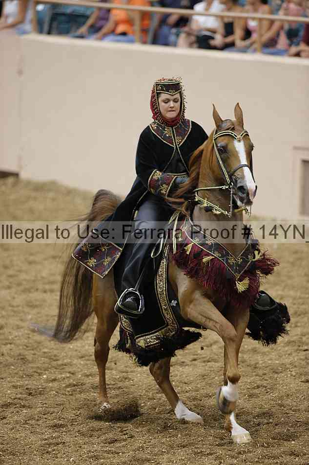 Proof 14yn_05024