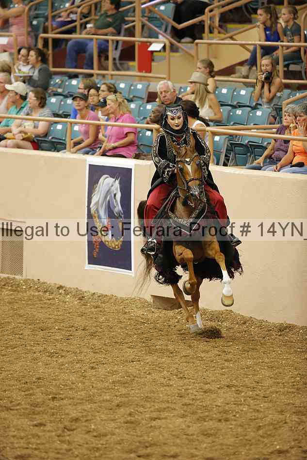 Proof 14yn_05025
