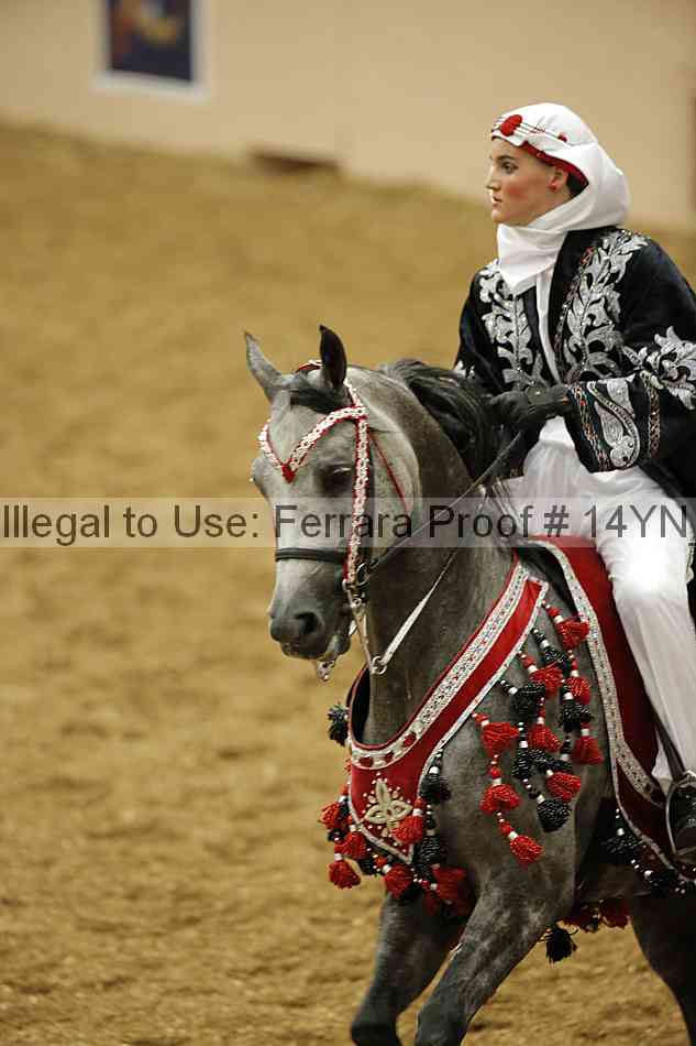 Proof 14yn_05027