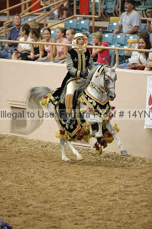 Proof 14yn_05028