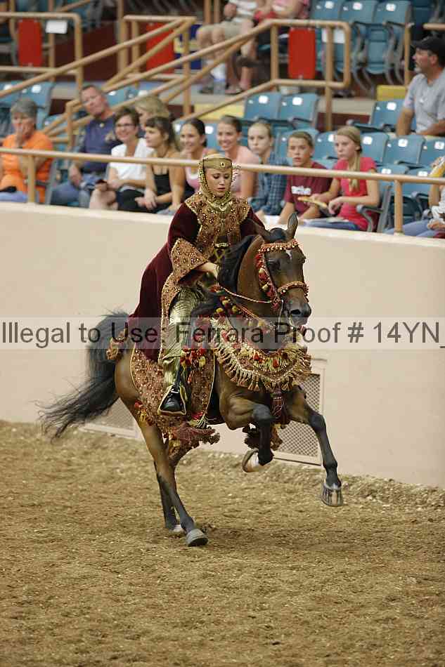 Proof 14yn_05029