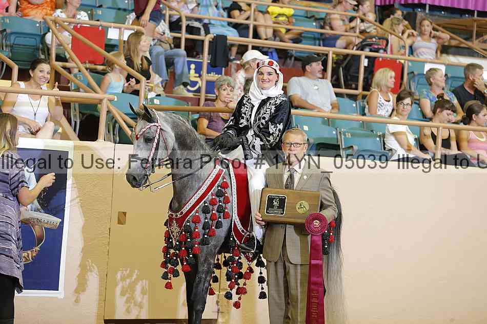 Proof 14yn_05039