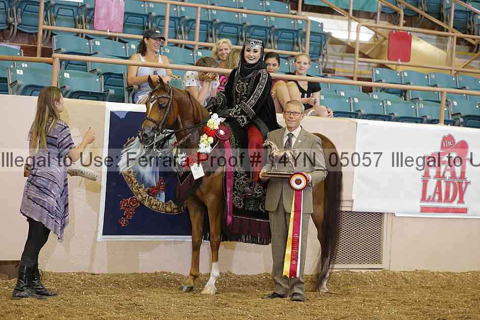 Proof 14yn_05057
