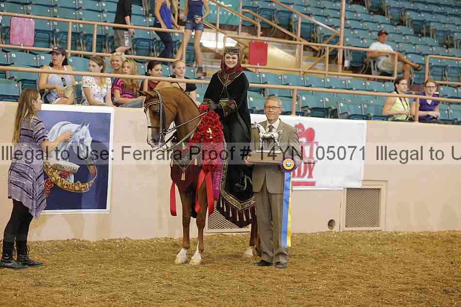 Proof 14yn_05071