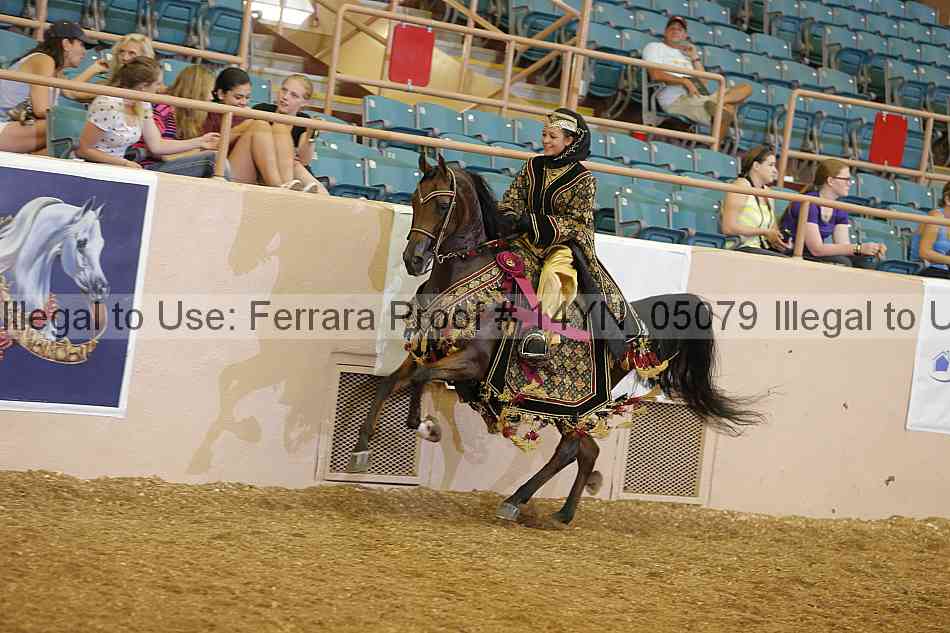 Proof 14yn_05079