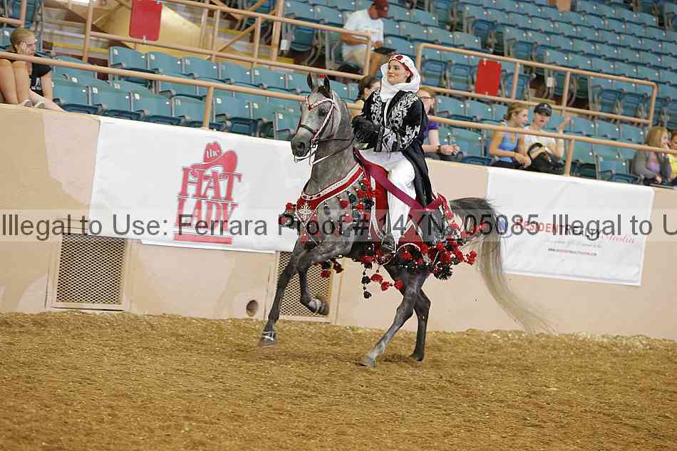 Proof 14yn_05085