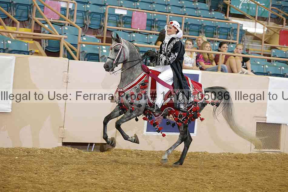 Proof 14yn_05086