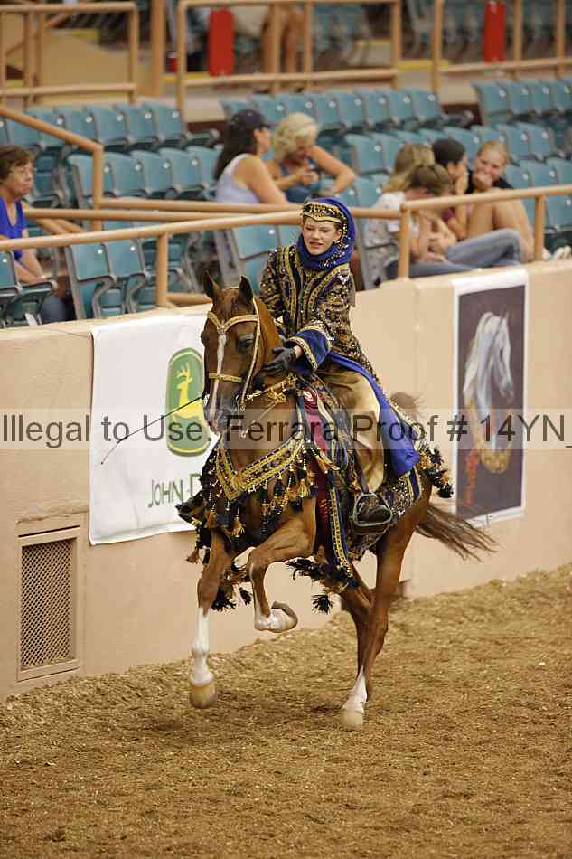 Proof 14yn_05091