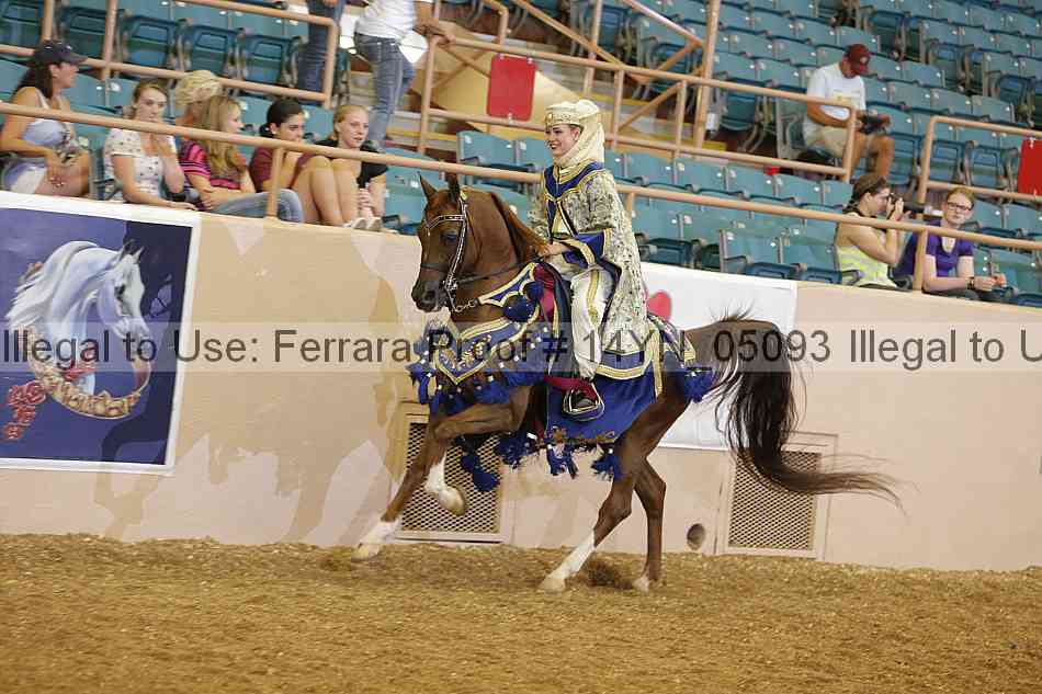Proof 14yn_05093