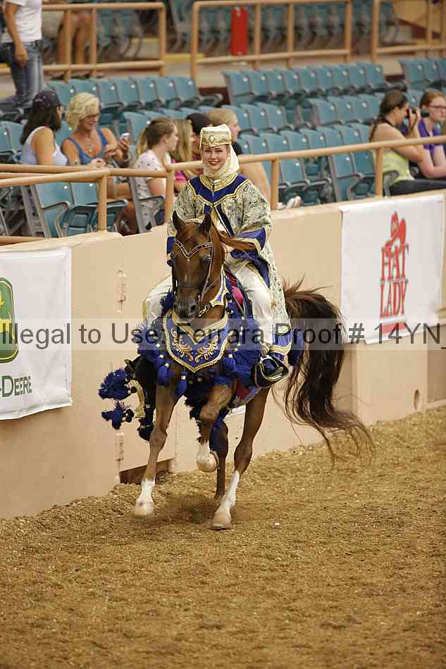 Proof 14yn_05095