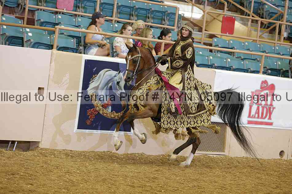 Proof 14yn_05097