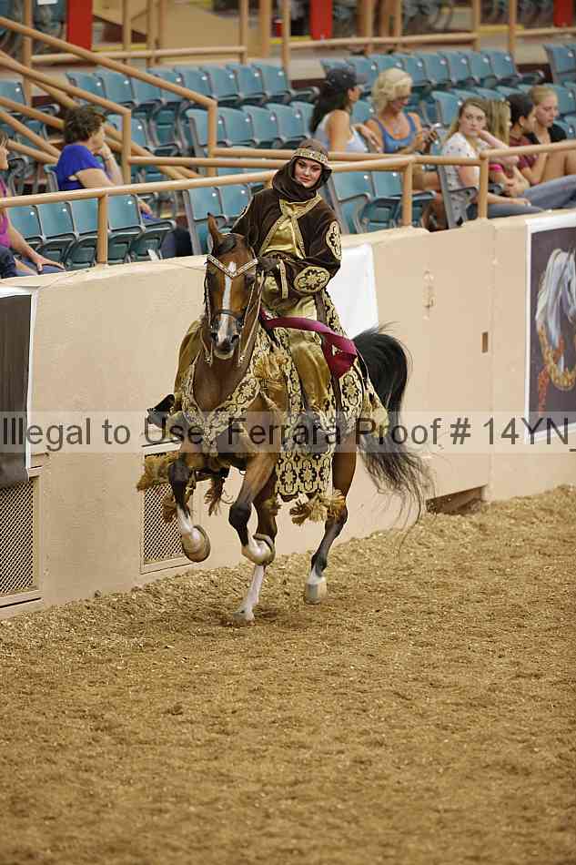 Proof 14yn_05099