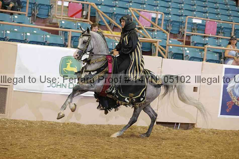 Proof 14yn_05102