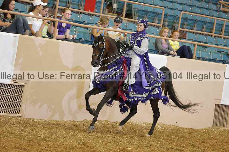 Proof 14yn_05104