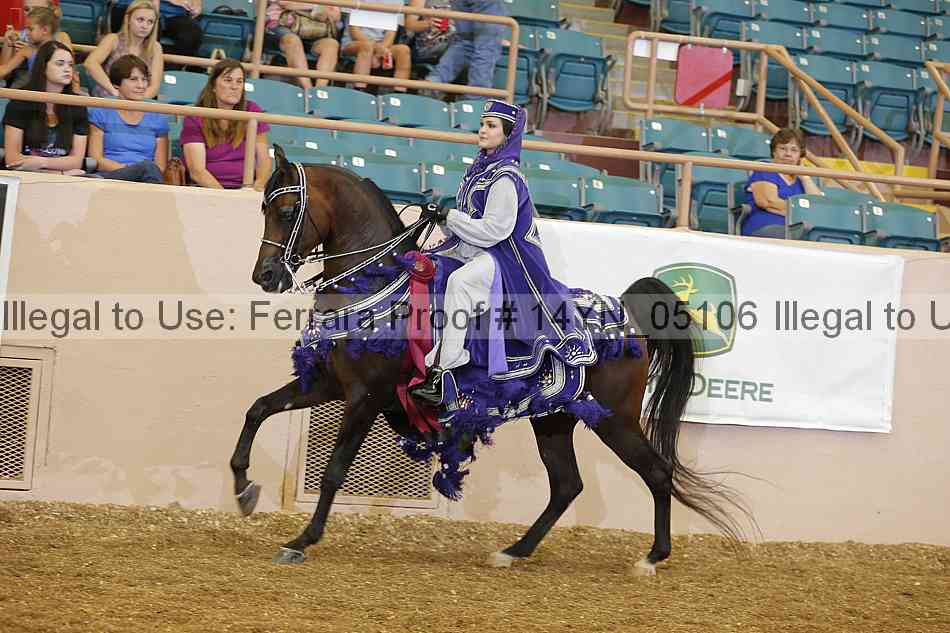 Proof 14yn_05106