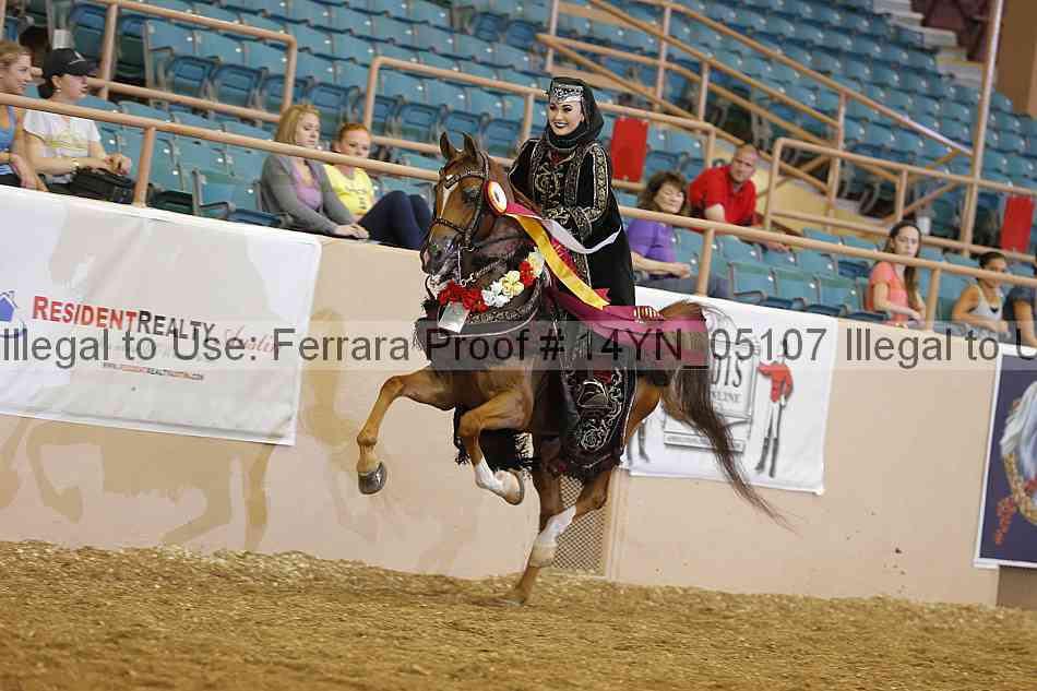 Proof 14yn_05107