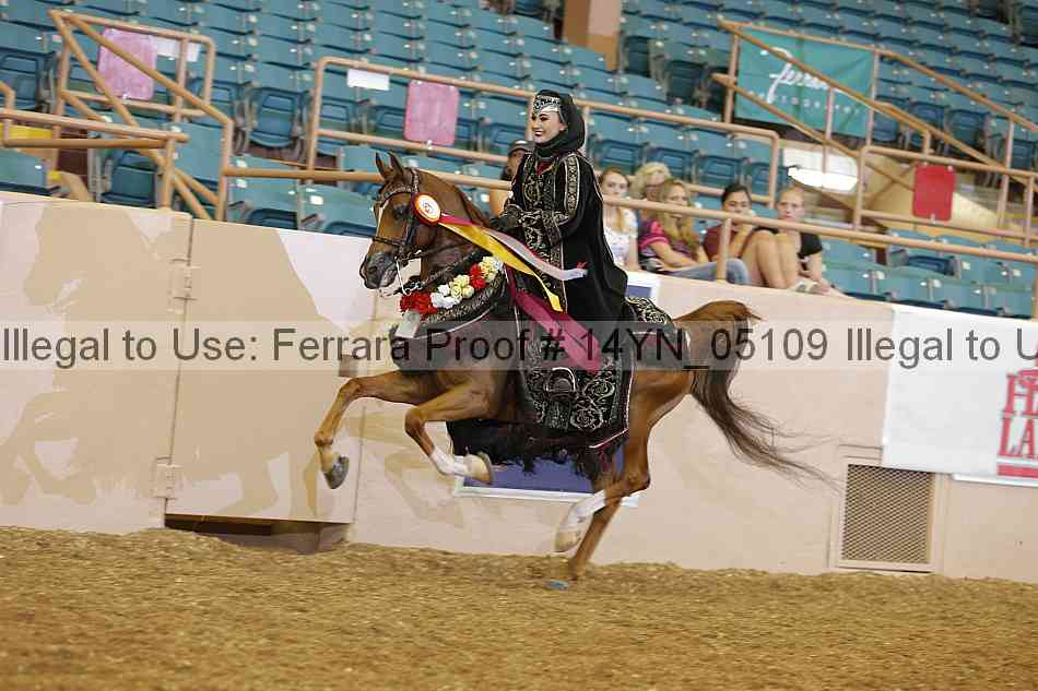 Proof 14yn_05109