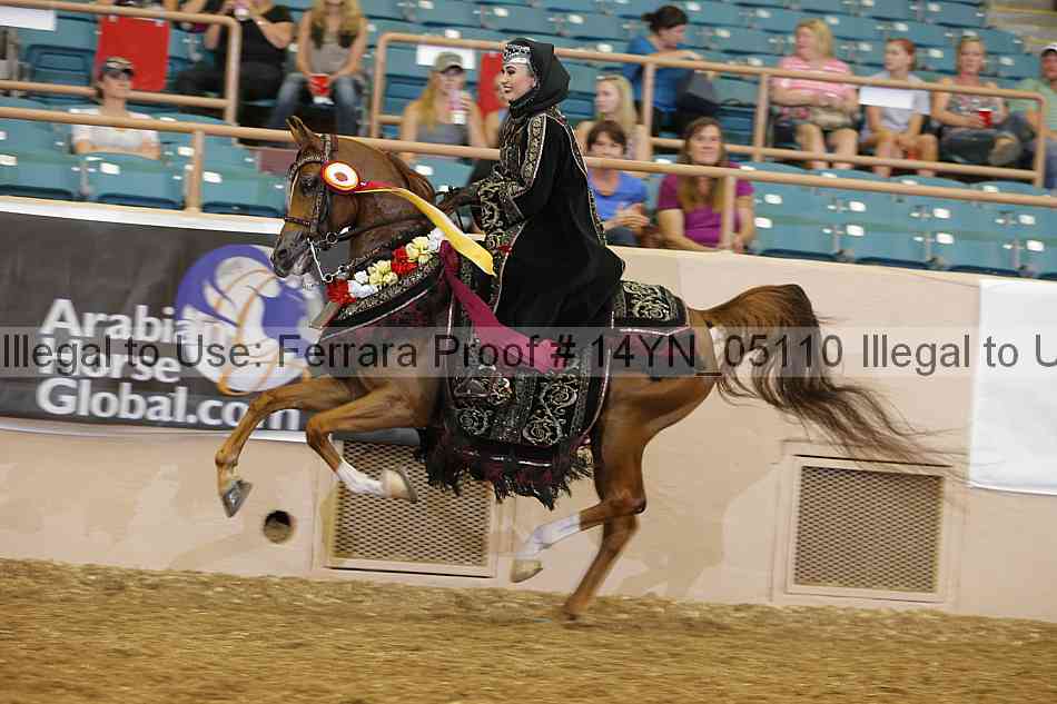 Proof 14yn_05110