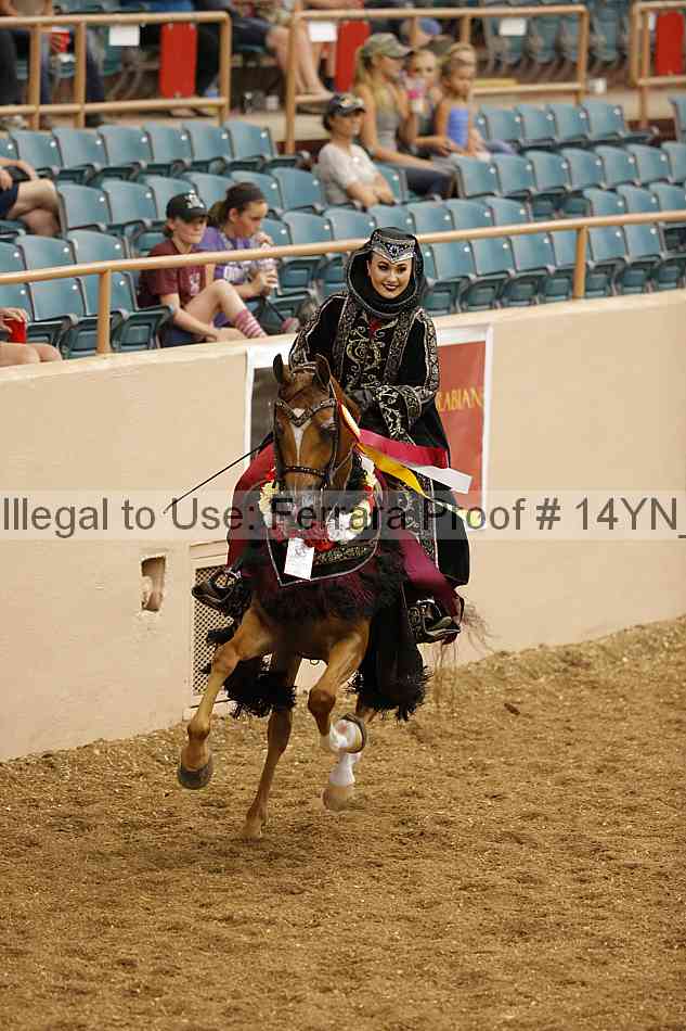 Proof 14yn_05114