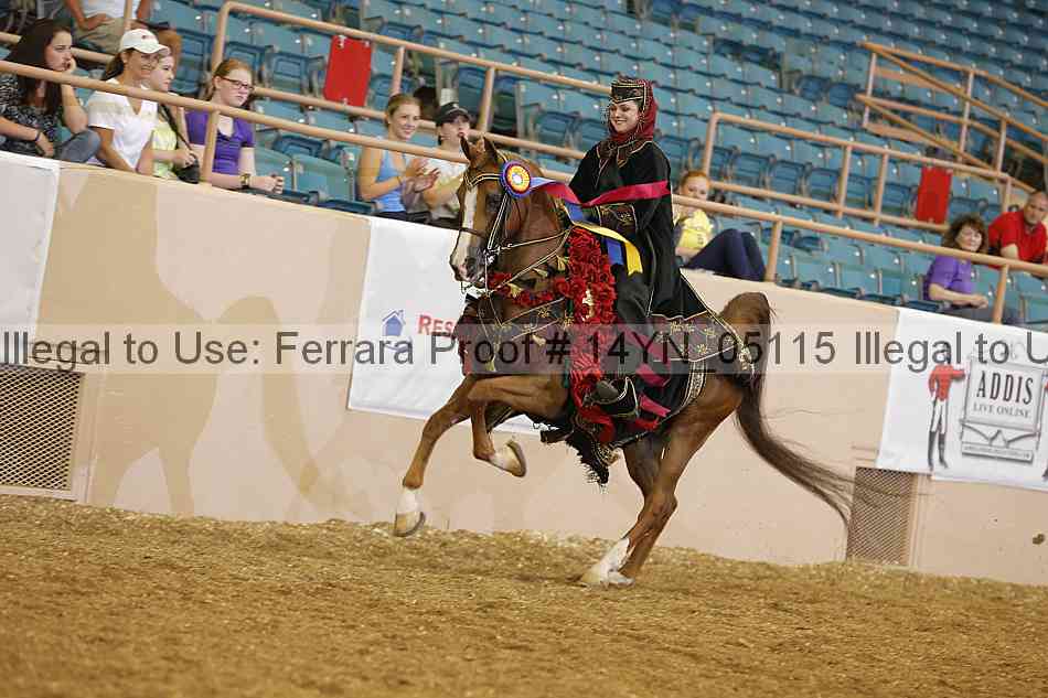 Proof 14yn_05115