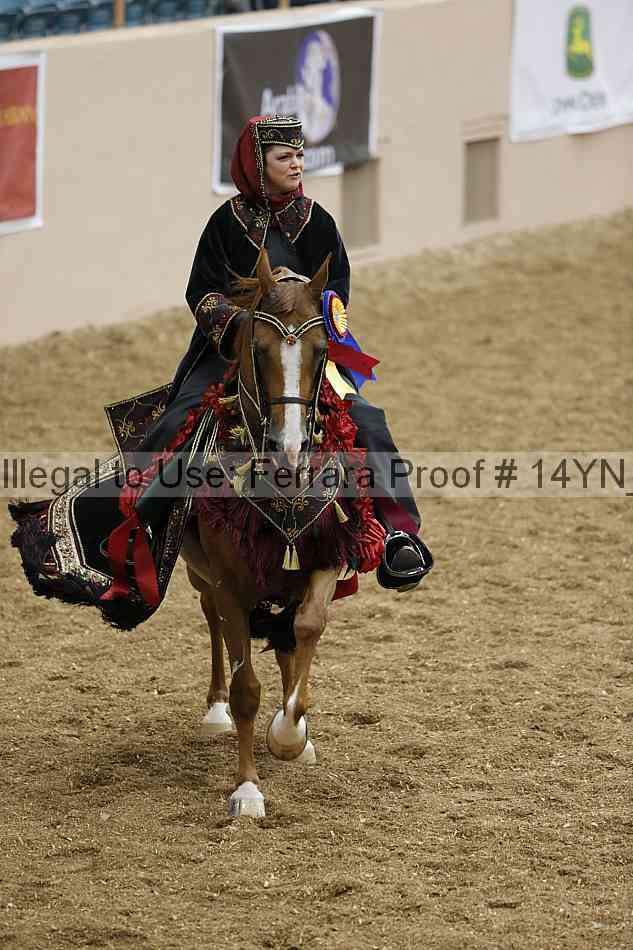 Proof 14yn_05118