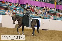 14yn_13173 proof