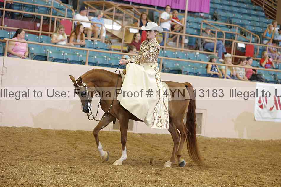 Proof 14yn_13183