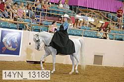 14yn_13188 proof