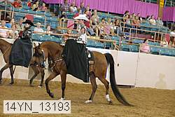 14yn_13193 proof