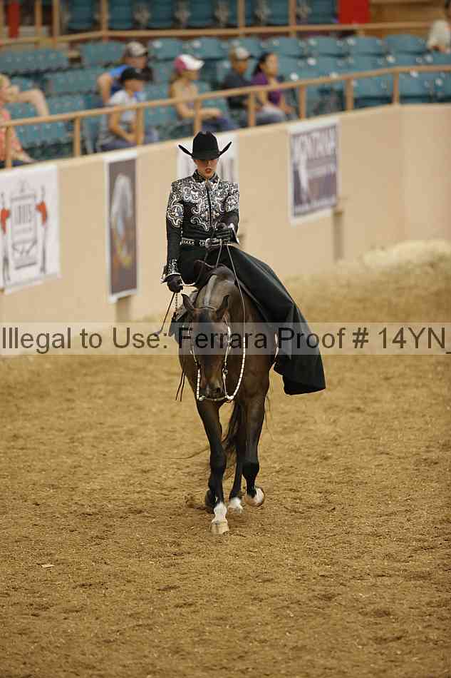 Proof 14yn_13197