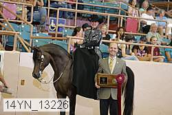 14yn_13226 proof