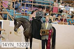 14yn_13227 proof