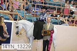 14yn_13229 proof