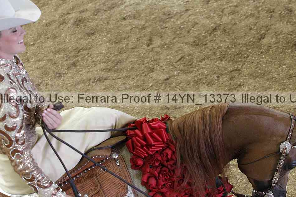 Proof 14yn_13373