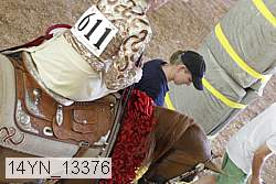 14yn_13376 proof