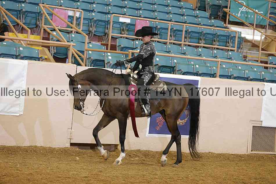 Proof 14yn_17607