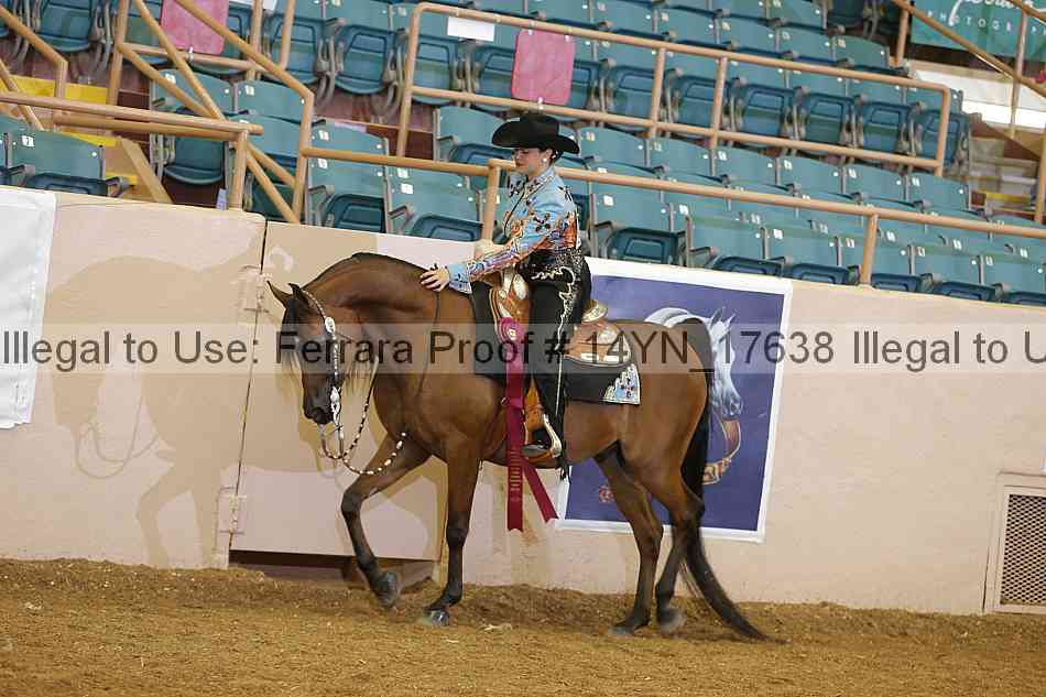 Proof 14yn_17638