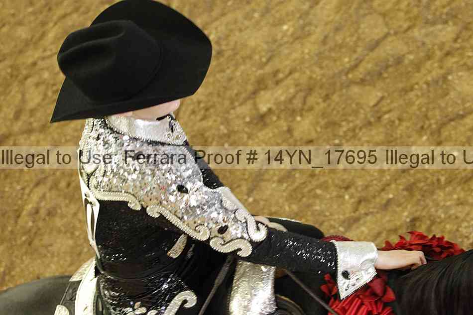 Proof 14yn_17695