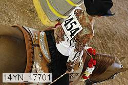 14yn_17701 proof
