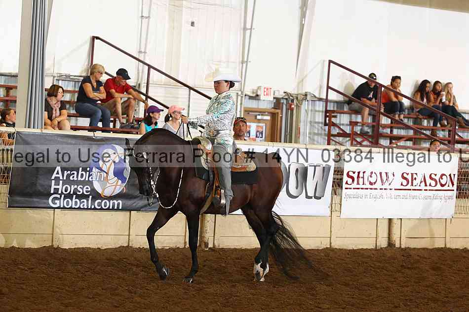 Proof 14yn_03384