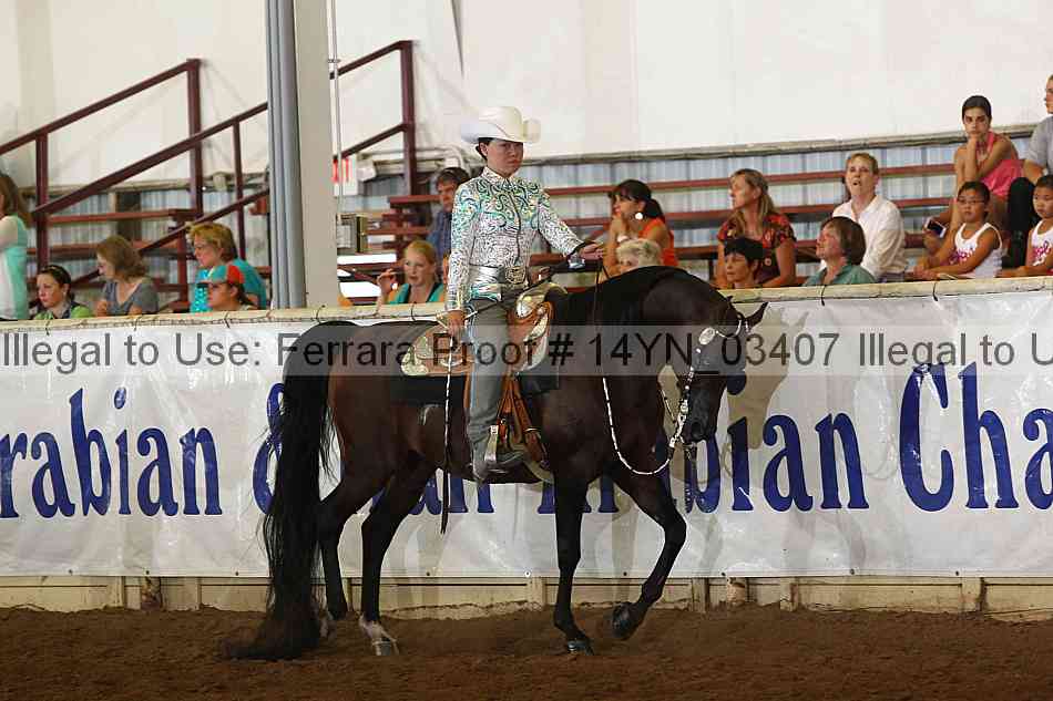 Proof 14yn_03407