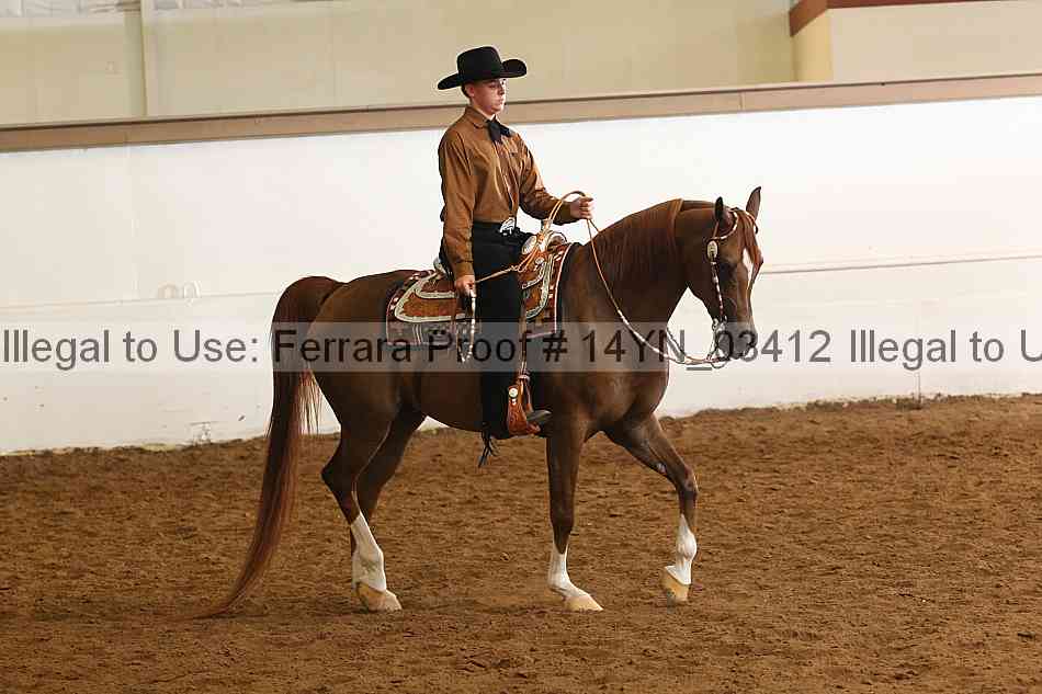 Proof 14yn_03412