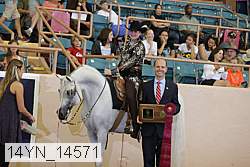 14yn_14571 proof