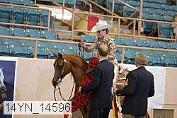 14yn_14596 proof