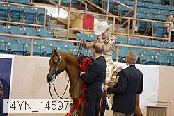 14yn_14597 proof
