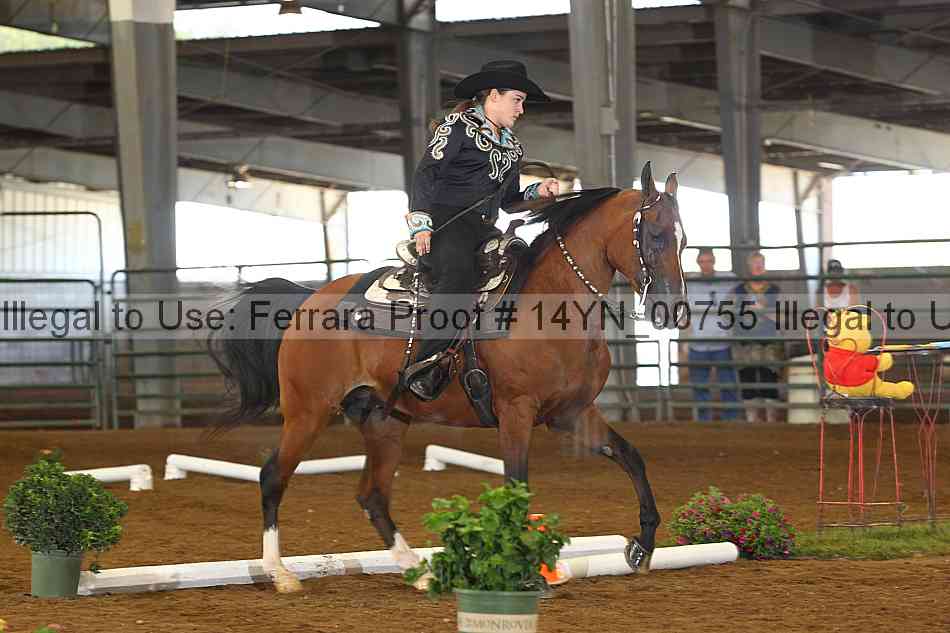 Proof 14yn_00755