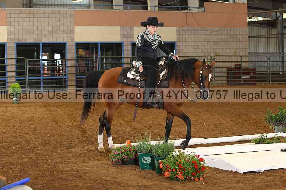 Proof 14yn_00757